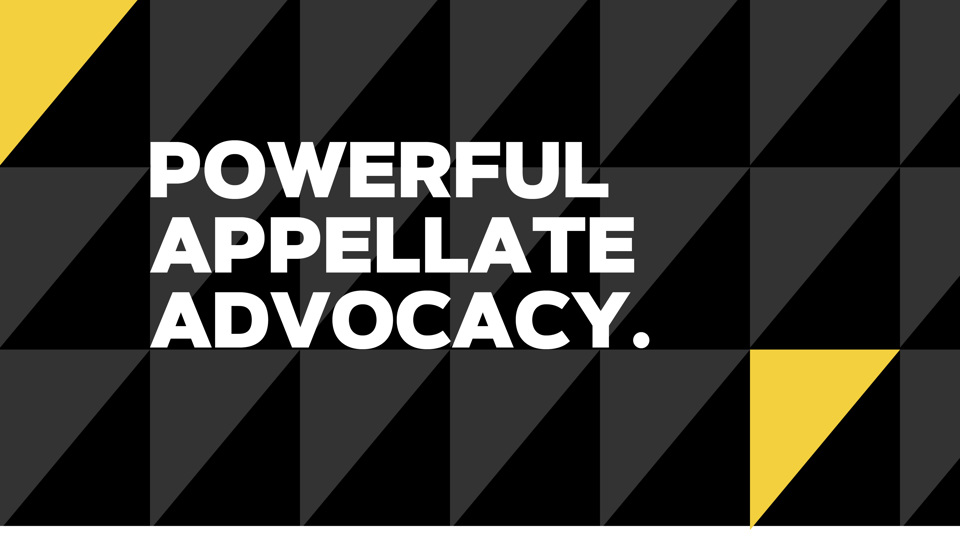 Appellate and Constitutional Litigation